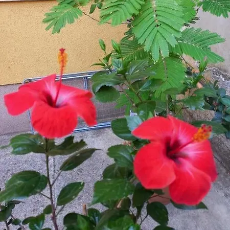 Appartamento Lubica